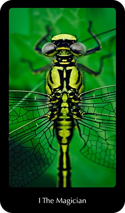Frideborg Tarot