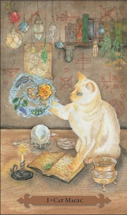 Mystical Cats Tarot