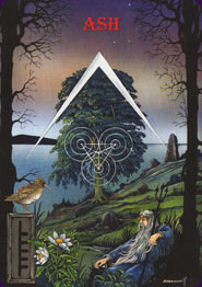 Ogham: The Celtic Oracle